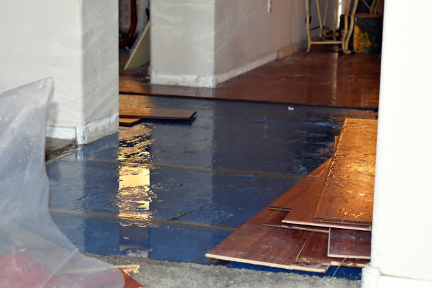 Professional Water Damage Restoration technician working in Odonnell, TX